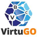 VirtuGO Logo